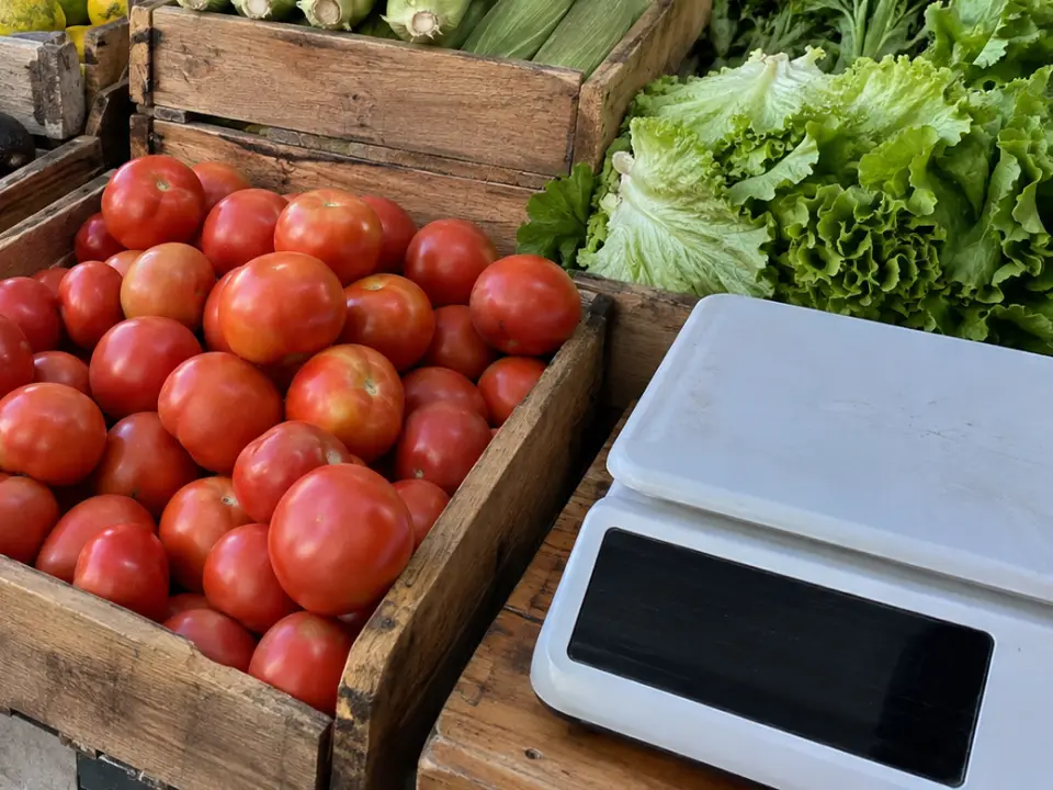 Balanza blanca de mesón junto a un cajón de tomates y lechugas en una verdulería